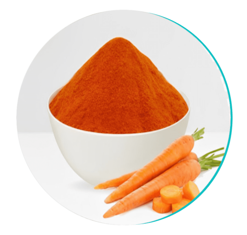 Biodentix 26 carrotpowder