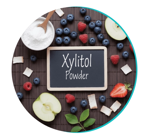 Biodentix 29